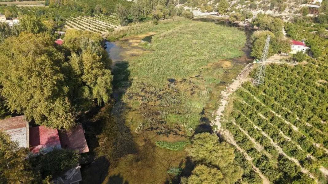 Adana’da Roma Mirası Doğayla İç İçe! Ziyaretçileri Büyülüyor 5